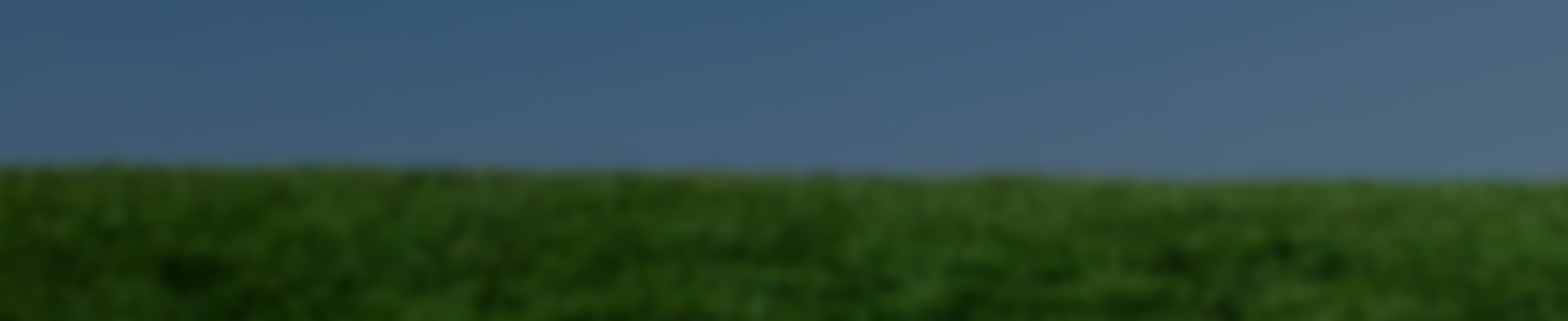 certified insurance broker